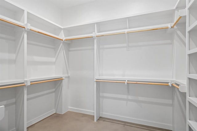 view of spacious closet