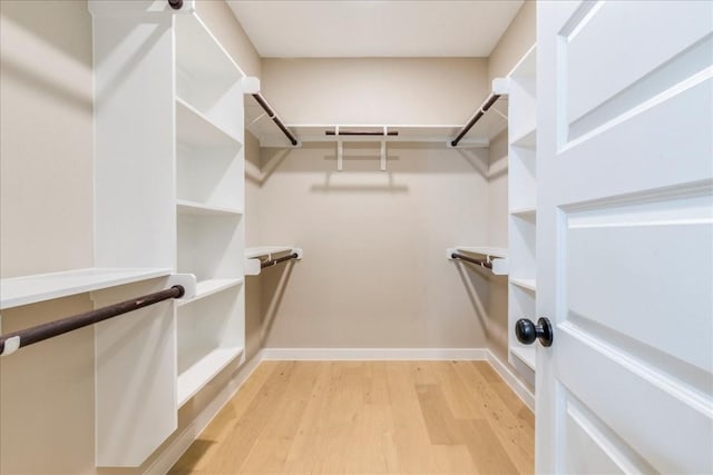 spacious closet featuring light hardwood / wood-style floors