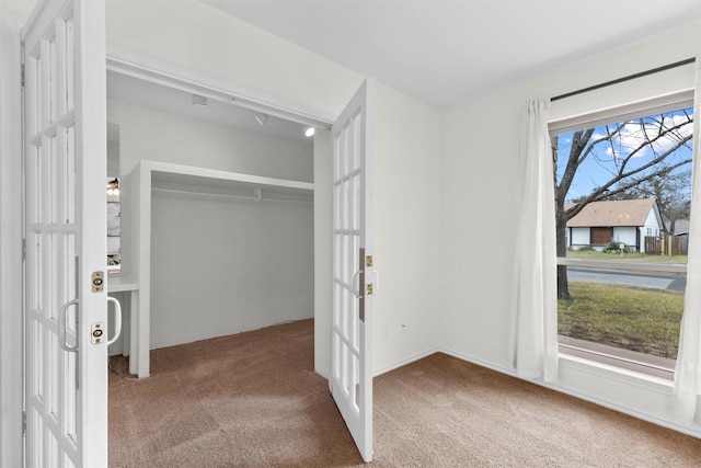 view of closet