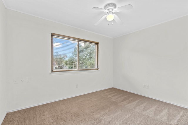 carpeted spare room featuring ceiling fan and ornamental molding