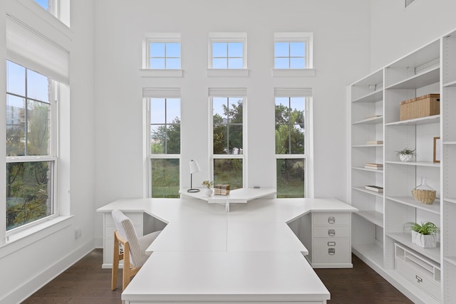 office area with a towering ceiling, a healthy amount of sunlight, and dark hardwood / wood-style flooring