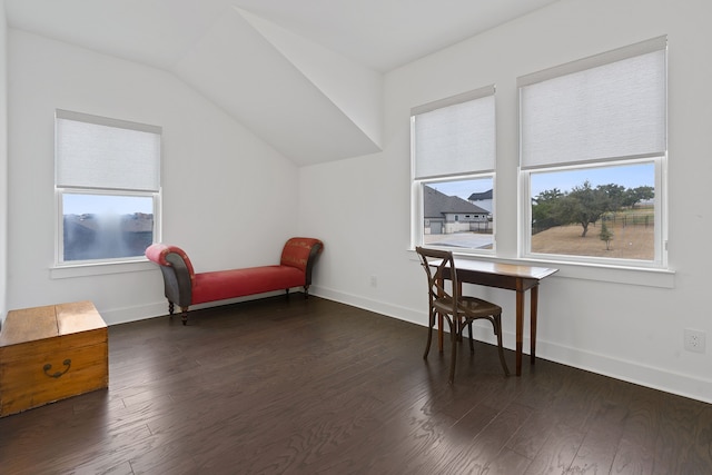 living area featuring dark hardwood / wood-style flooring, vaulted ceiling, and a healthy amount of sunlight