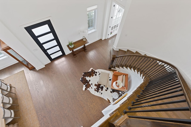 foyer entrance with dark hardwood / wood-style flooring