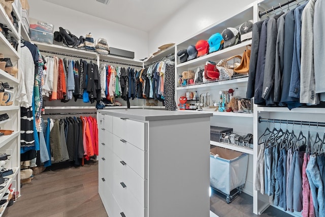 spacious closet featuring wood finished floors