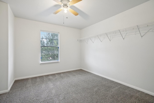 walk in closet featuring ceiling fan and carpet floors