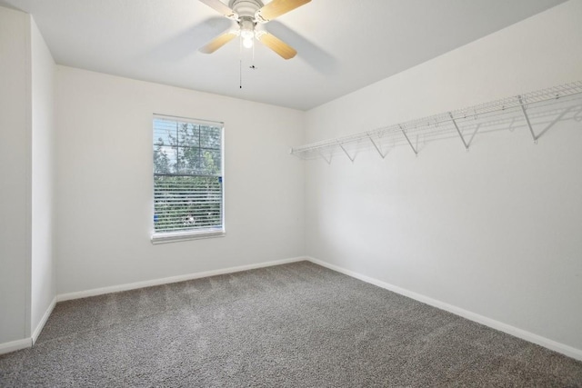 653 Dark Horse Ln, Buda, TX 78610 - photo 25