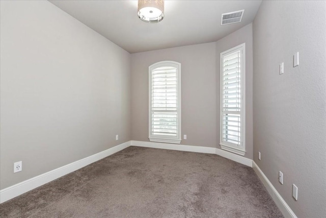 416 Cherokee Rose Cir, Georgetown, TX 78626 - photo 31