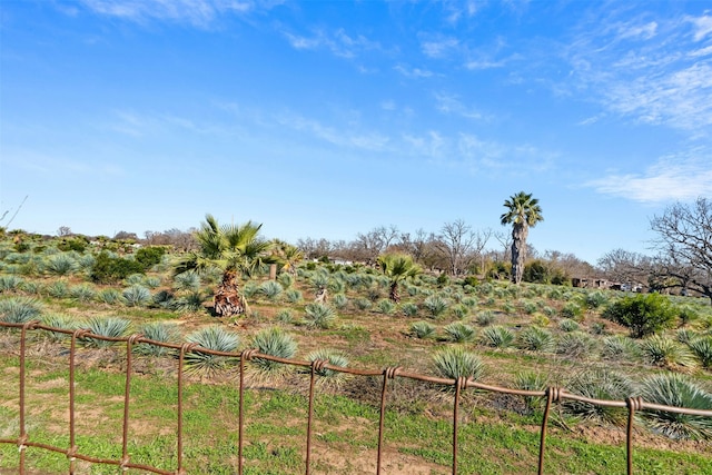 view of yard featuring a rural view