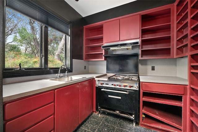 kitchen featuring gas range and sink