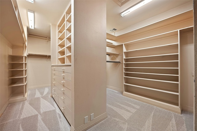 spacious closet featuring light colored carpet