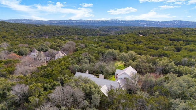 drone / aerial view featuring a mountain view