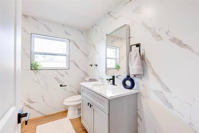 bathroom with hardwood / wood-style flooring, a wealth of natural light, vanity, and toilet