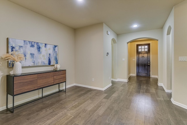 entrance foyer featuring wood-type flooring