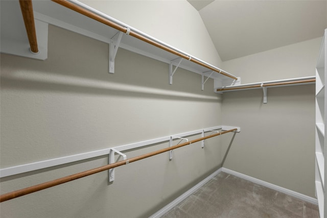 walk in closet featuring lofted ceiling and carpet