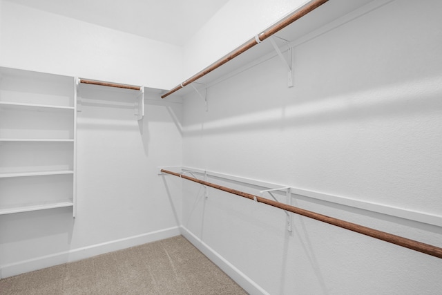 spacious closet featuring light carpet