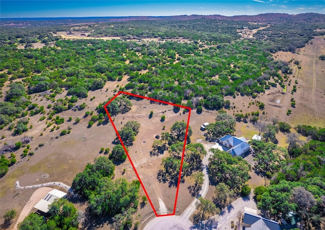 127 Las Nueves Dr, Blanco TX, 78606 land for sale