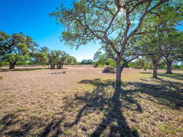 Listing photo 3 for 127 Las Nueves Dr, Blanco TX 78606