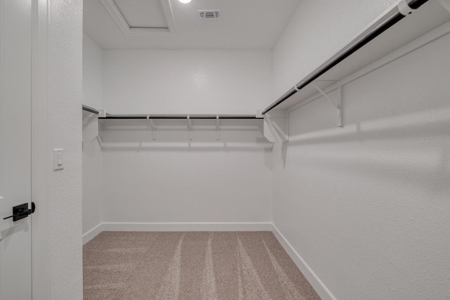 16904 Astral Ln, Manor, TX 78653 - walk in closet with carpet flooring and attic access