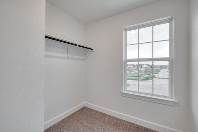 16904 Astral Ln, Manor, TX 78653 - spacious closet featuring carpet