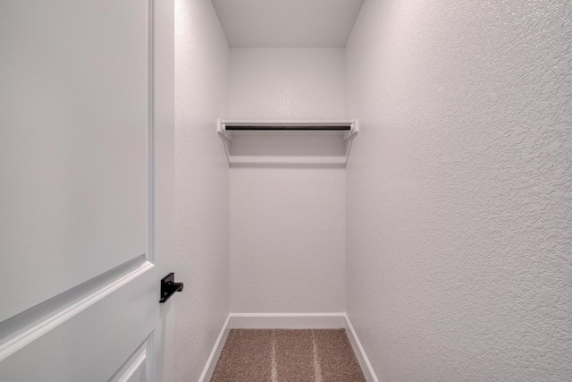 16904 Astral Ln, Manor, TX 78653 - walk in closet with carpet floors