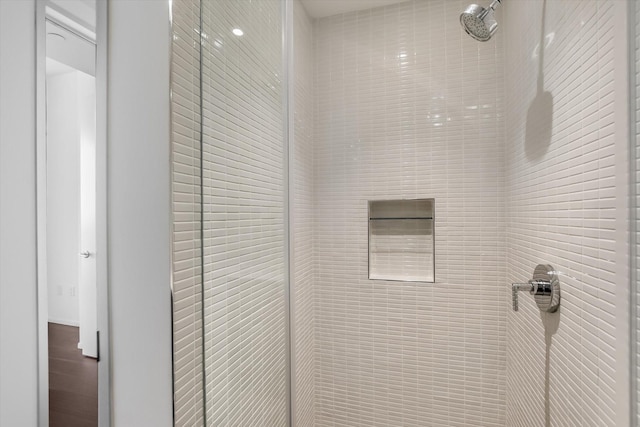 room details with tiled shower