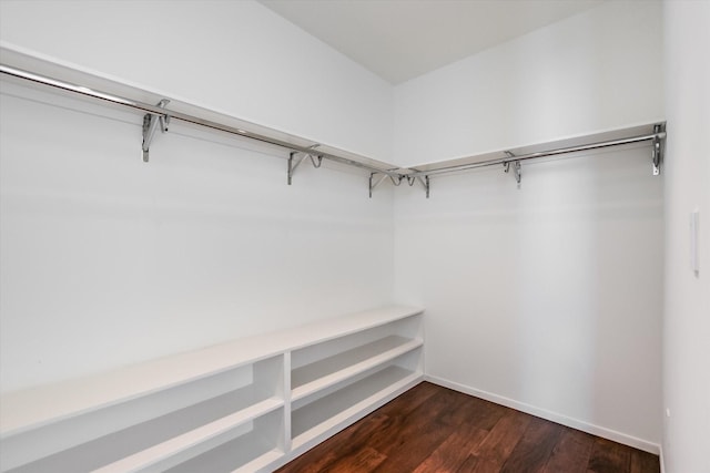 walk in closet featuring dark hardwood / wood-style floors