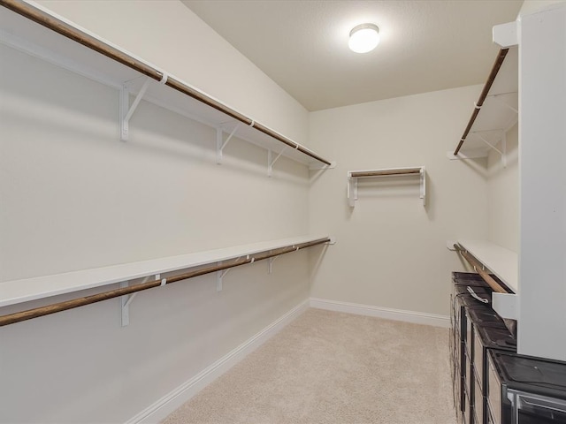 spacious closet featuring light colored carpet