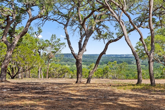 9475 Fm 32, Fischer TX, 78623 land for sale