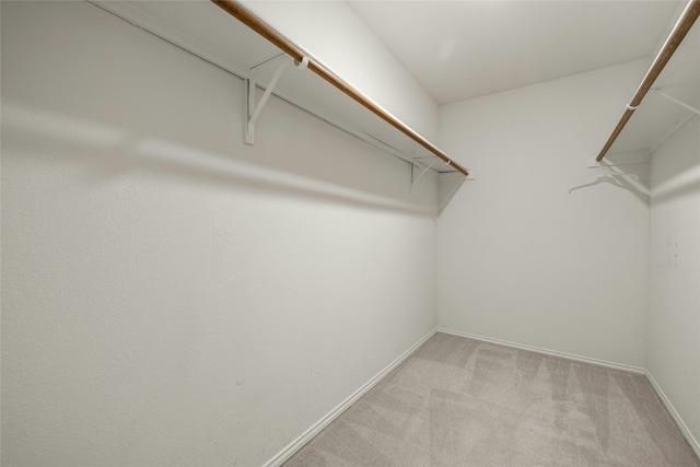 spacious closet with light carpet