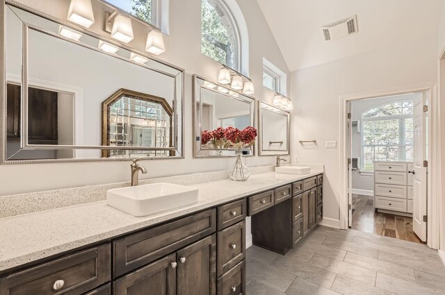 bathroom featuring vaulted ceiling and vanity