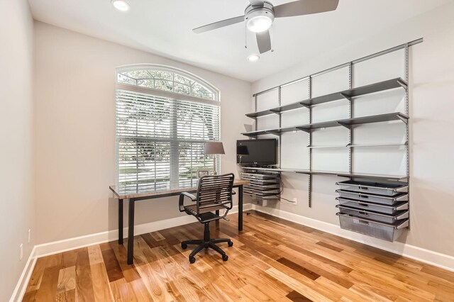 office area with ceiling fan and hardwood / wood-style floors