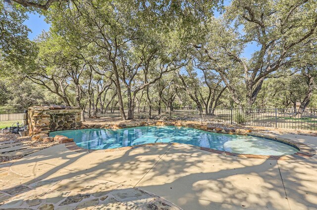 view of pool featuring a patio area