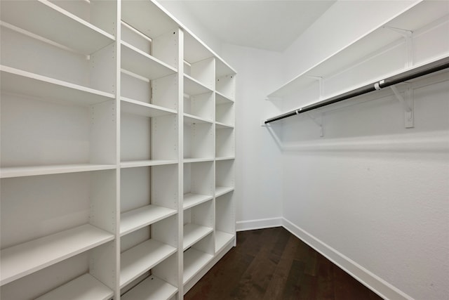 spacious closet featuring dark wood-type flooring