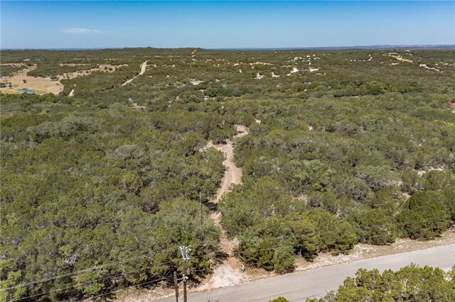 1000 Norwood Rd, Dripping Springs, TX 78620 - photo 15