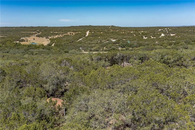 1000 Norwood Rd, Dripping Springs, TX 78620 - photo 17