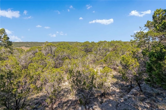 1000 Norwood Rd, Dripping Springs TX, 78620 land for sale