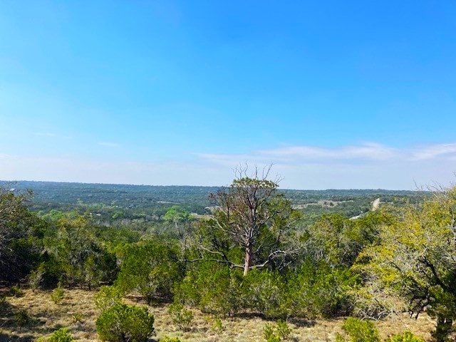 Listing photo 3 for 1000 Norwood Rd, Dripping Springs TX 78620