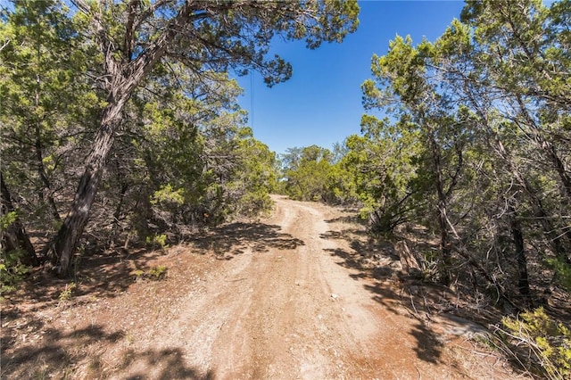 1000 Norwood Rd, Dripping Springs, TX 78620 - photo 4