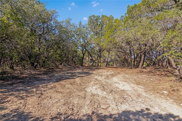 1000 Norwood Rd, Dripping Springs, TX 78620 - photo 5