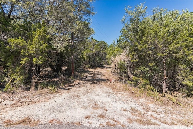 1000 Norwood Rd, Dripping Springs, TX 78620 - photo 7