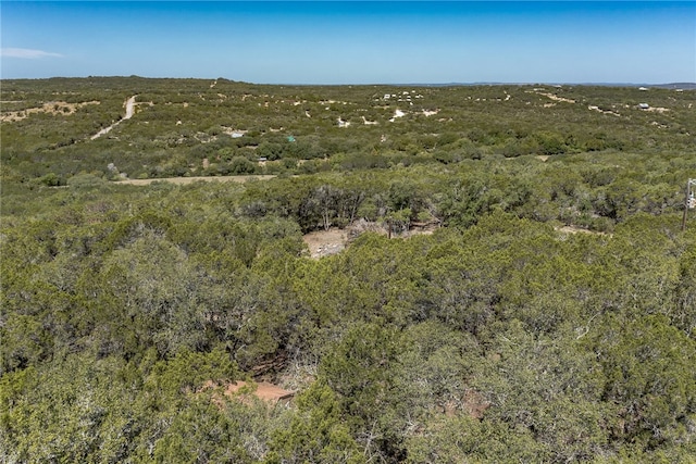 1000 Norwood Rd, Dripping Springs, TX 78620 - photo 9