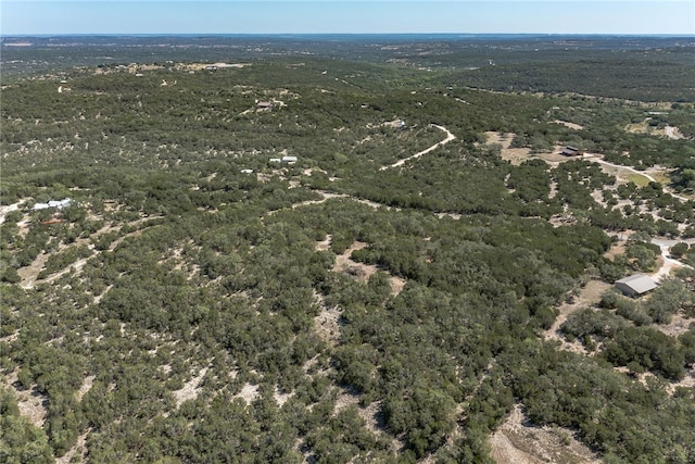 1000 Norwood Rd, Dripping Springs, TX 78620 - photo 11