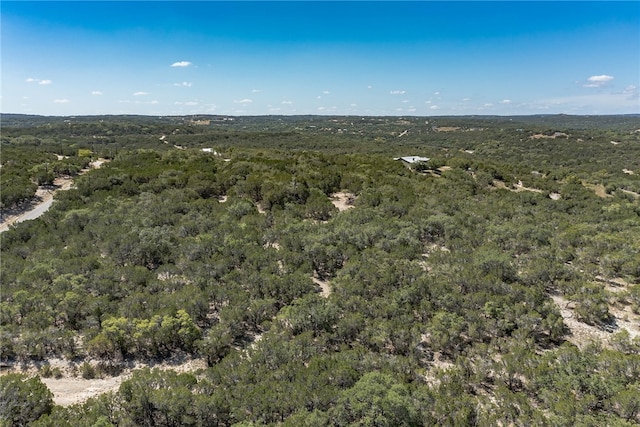 1000 Norwood Rd, Dripping Springs, TX 78620 - photo 13