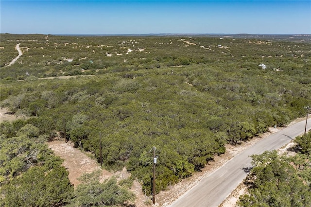 1000 Norwood Rd, Dripping Springs, TX 78620 - photo 14