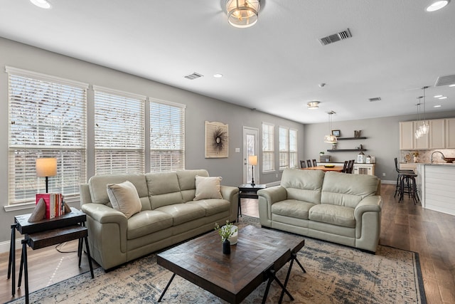 living room with sink and hardwood / wood-style flooring