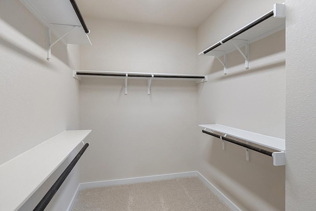 spacious closet with carpet flooring