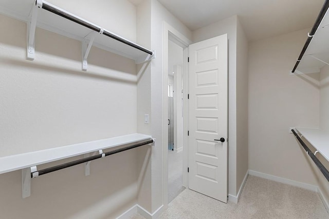 spacious closet featuring light colored carpet