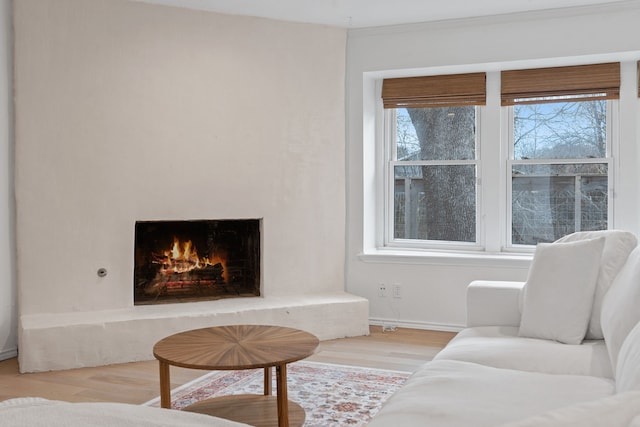 living room with ornamental molding and light hardwood / wood-style flooring