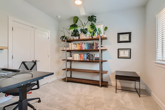 office with a wealth of natural light and light carpet