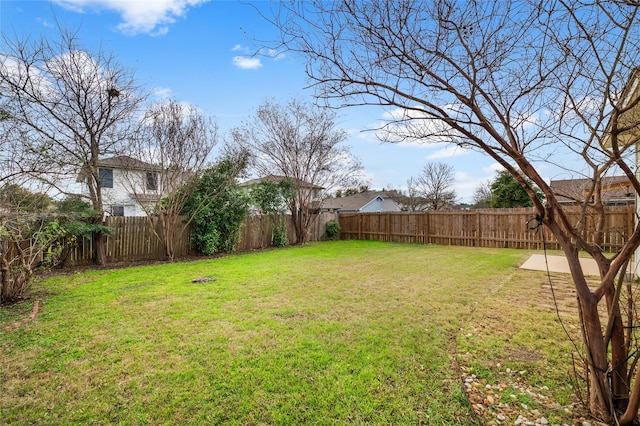 view of yard featuring a patio area